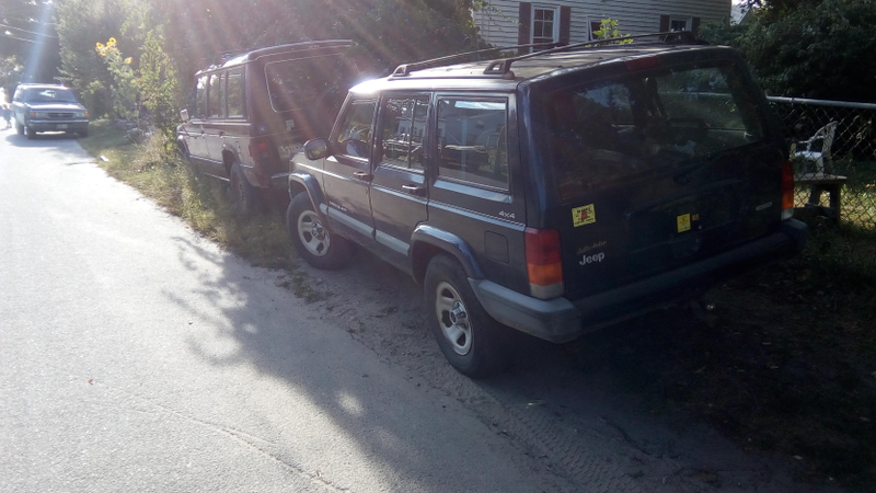 XJs are everywhere.